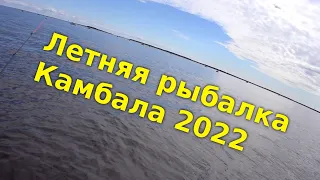 Камбала 2022. Белое море