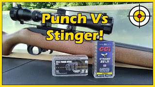 Federal Punch vs CCI Stinger .22lr Ballistic Gel Test With The Ruger 10/22 Carbine!