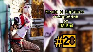 Лучшие приколы 2020 до слёз от Harley #28 ДЕКАБРЬ