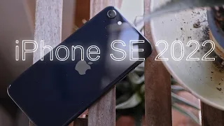 iPhone SE 2022: Why bother?