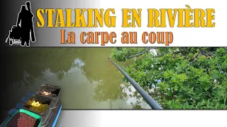 🎥🎞PÊCHE EN STALKING LA CARPE EN RIVIÈRE AVEC UNE CANNE AU COUP.🤟💪