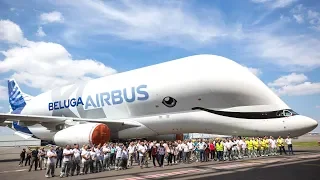 Everything You Would Want To Know About the Airbus Beluga!