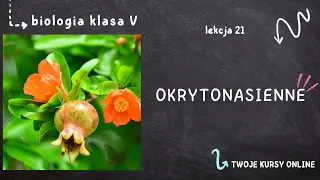 Biologia klasa 5 [Lekcja 21 - Okrytonasienne]