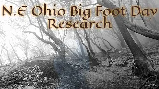 Northeast Ohio Bigfoot