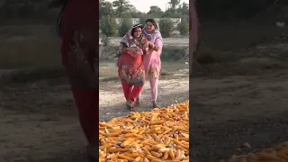 Pashto Najma Beautiful Local Dance