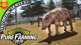 Pure Farming 2018 Tutorial Series Gameplay #7- All about pigs!