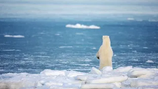 Paris Agreement five years on: How far are we from meeting its goals