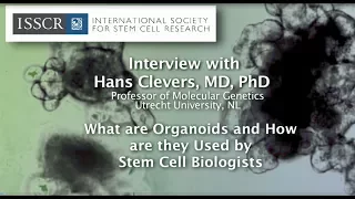 Hans Clevers Organoids Interview June 2017