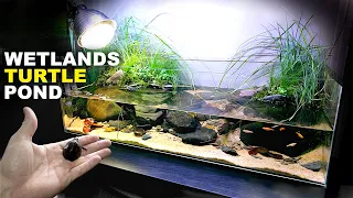 Aquascape Tutorial: Turtle Aquarium / Vivarium / Paludarium (how to step by step planted tank guide)