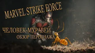 Marvel Strike Force-Человек Муравей. Обзор персонажа!