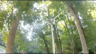 "V" Style Tree Swing