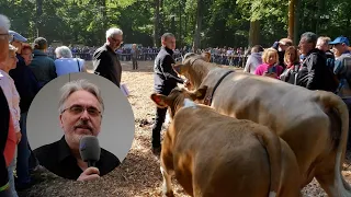 Tierschau auf dem Ochsenfest - Frank Mignon ist dabei