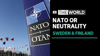 Putin says Russia will respond if NATO bolsters Sweden, Finland militarily | The World