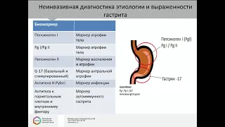 Круглый стол «Атрофический гастрит, МАLT-лимфома и НЭО желудка – междисциплинарный подход»