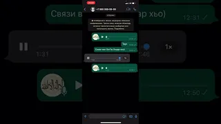 Иудов лорд пасанул перед Хасаном!