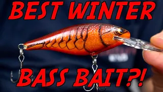 The MOST OVERLOOKED Bait for Winter Bass Fishing!