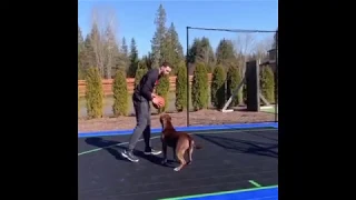 Zach LaVine Putting moves on His Dog One vs One.