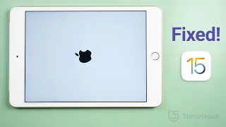 iPad Stuck on Apple Logo/Boot Loop? Here Is the Fix! (No Data Loss)