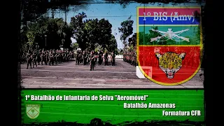 1º Batalhão de Infantaria de Selva (Aeromóvel) - Formatura Centro de Formação de Recrutas