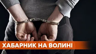 Зберігав хабар у авто: у начальника митниці на Волині вилучили $700 тис.