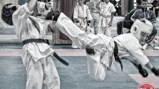 Highlight Open Moldova Cup "1 Grand Prix Mercedes" Kyokushin Karate (2012)