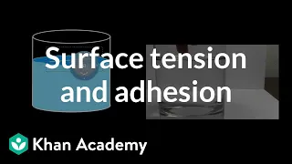 Surface Tension and Adhesion | Fluids | Physics | Khan Academy