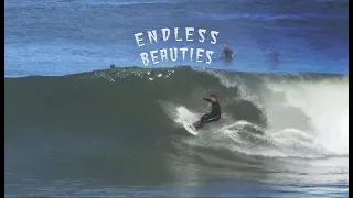 Endless Beauties | St Francis Surfing