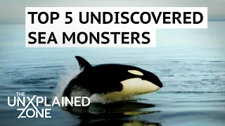 TOP 5 UNDISCOVERED SEA MONSTERS | The Proof Is Out There | The UnXplained Zone