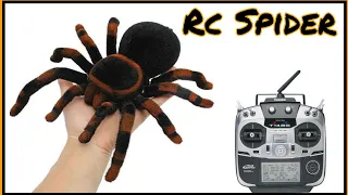 Remote Control Spider | Tarantula | Remote control toy