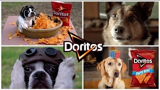 The Best 32 Most Funny Doggy Doritos Super Bowl Commercials of All Time [Mr Ansten]