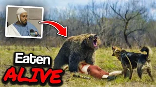 This Predatory Bear Horribly Mauls Joe But Then His German Shepherd Arrives