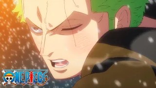 Zoro está de regreso y tu cuerpo lo sabe 😏 | One Piece (sub. español)