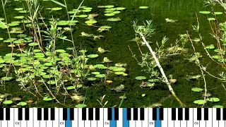 Frogs (original harpsichord piece)