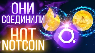 Они наконец сделали это! Qappi miner - новый проект, взявший лучшее от Notcoin и HOT.