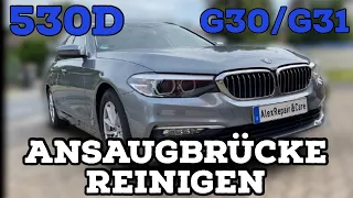 BMW 530d G30/G31 B57 Motor | Ansaugbrücke reinigen | Drallklappen entfernen | 330d 430d 630d 730d