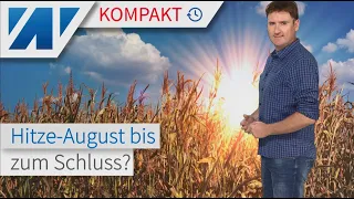 August-Hitze und kein Ende: Blick bis Monatsmitte. Ab morgen heiß, Donnerstag bis 40°C.