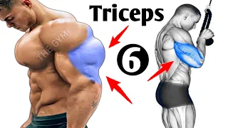 6 Best Exercises For Triceps - Triceps Workout