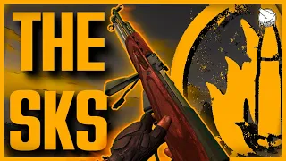 [GMOD] Reload Animations - Firearms: Source - SKS's Extensive Reloads