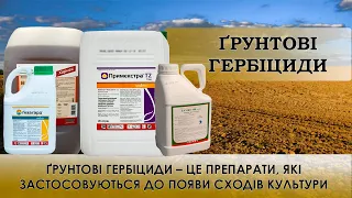 Ґрунтові гербіциди: Харнес, Гезагард, Бамбу, Комманд, Примекстра ТЗ Голд, Ацетоган, Каліф та ін.