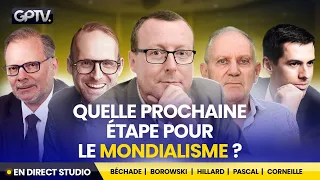 QUE NOUS PRÉPARE LE NOUVEL ORDRE MONDIAL EN 2024 ? | PIERRE HILLARD | GÉOPOLITIQUE PROFONDE