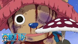 Mushroom | One Piece