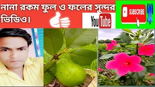 নানারকম জাতের ,ফুল ও ফল গাছ। ভিডিওটি দেখুন