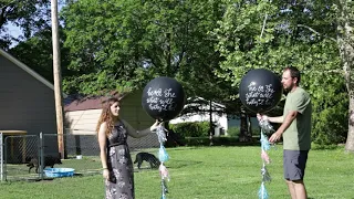 Our Twins Gender Reveal!