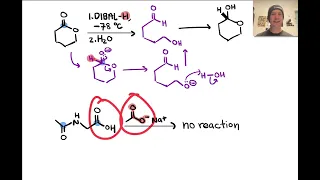 Acylations of Nucleophiles | LTQ 7.1, Spring 2024