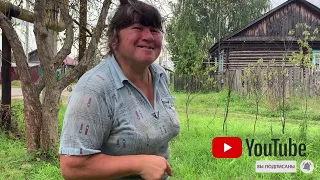 Мои соседи воруют сливу / жизнь в деревне / Роман Селецкий / Neighbors / Village life