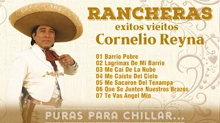 Cornelio Reyna MIX Grandes Exitos, Best Songs ~ 1960s Music ~ Top Latin, Norteno,..