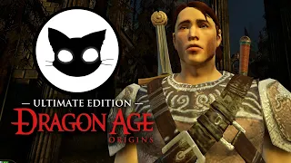 Dragon Age Origins Mr. Cat #2 РАЗБОЙНИК!