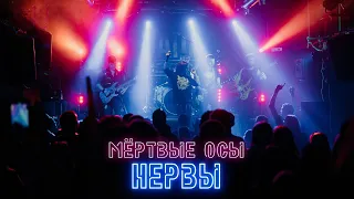 Нервы(концертный клип)