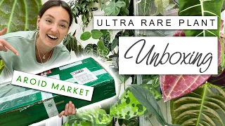 Best Rare Plant Unboxing Yet | AROID MARKET House Plant Haul 😆🌿