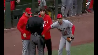 Shohei Ohtani Steals Balls From The Umpire 😂🤣!!!